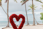 punta_cana_proposal-2