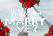 punta_cana_proposal-3