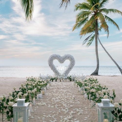 puntacanaproposal-1