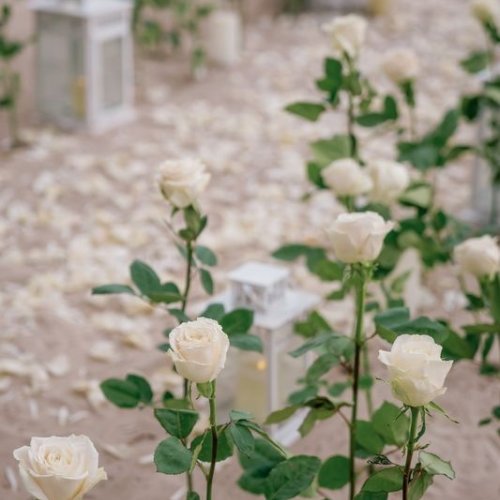 punta-cana-elopement-3