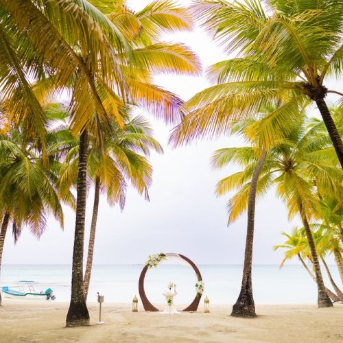 saona-wedding-8