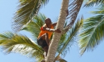 wedding-in-dominican-republic_makao-beach_34