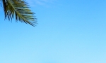 wedding_in_cap_cana_42