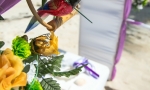 wedding_in_cap_cana_02