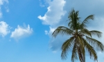 wedding_in_cap_cana_35