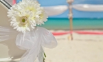 weddings_dominican_republic_45